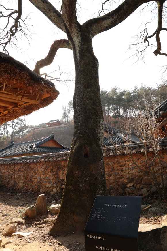 남사예담촌 이씨고가 이미지