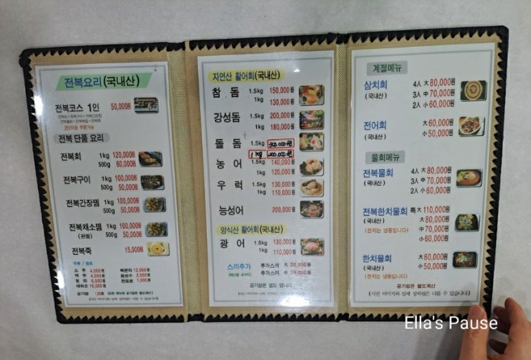 완도회타운 이미지