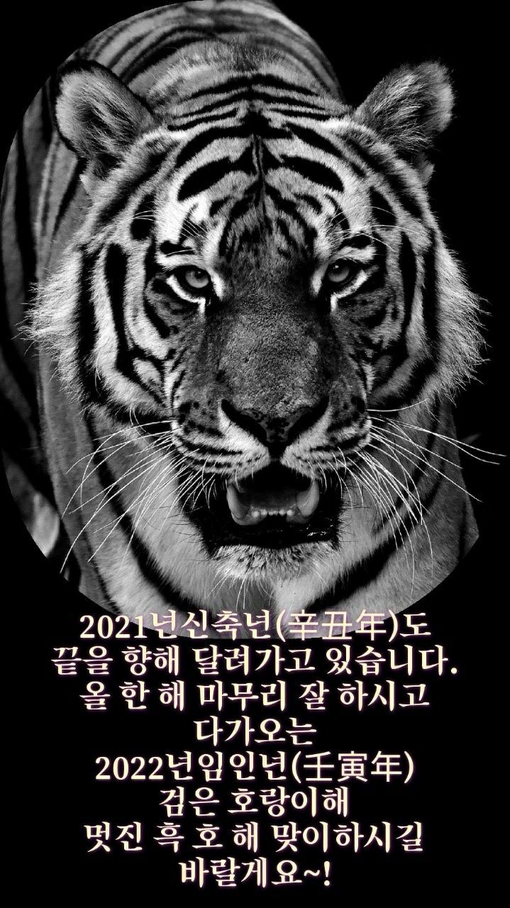 세운전자 이미지