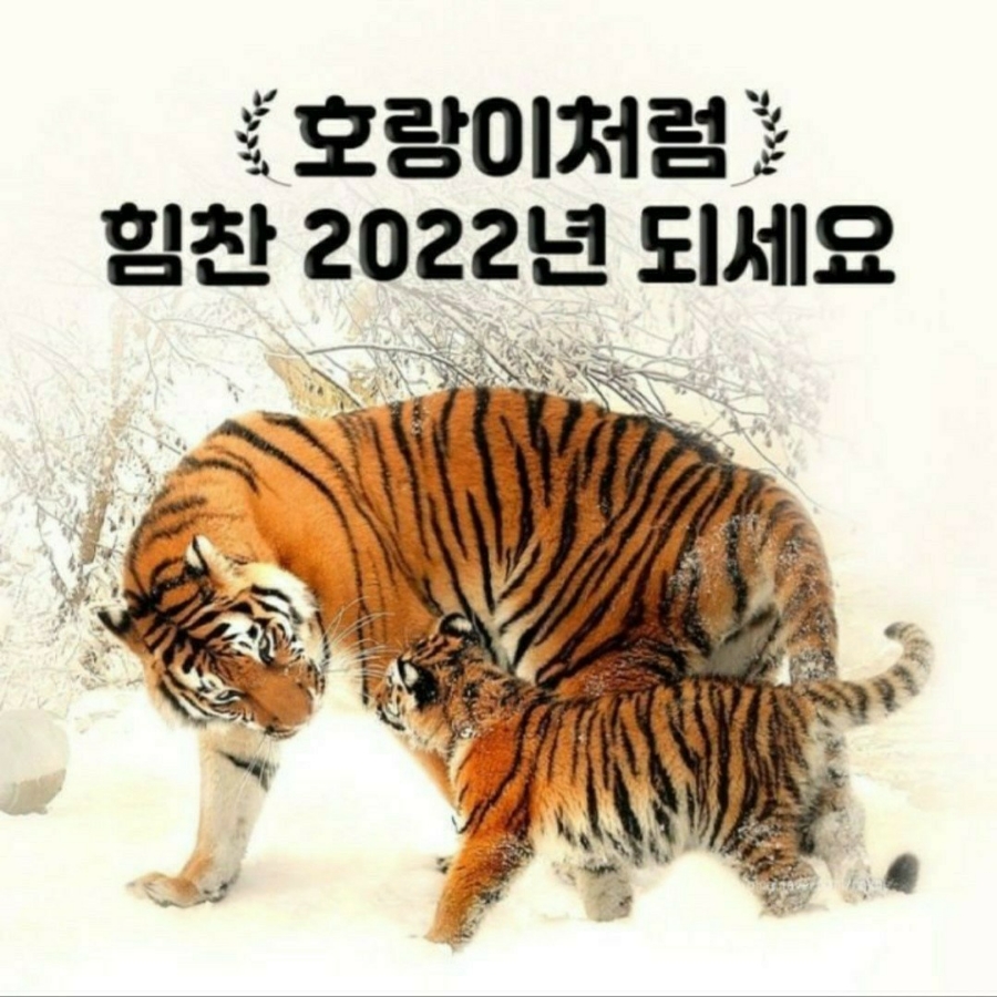 예쁜꽃나라 이미지