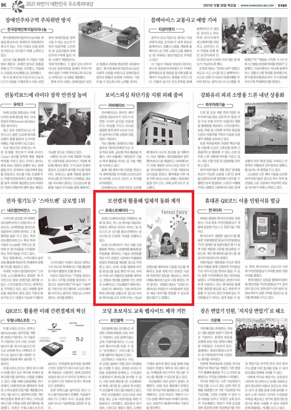 포레스트페어리 이미지