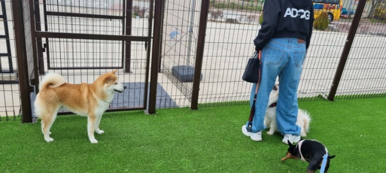 카페리브어스 이미지