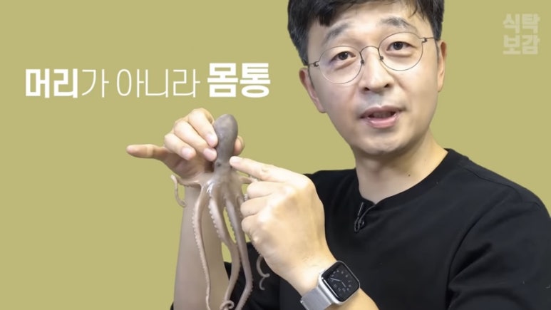 낙지보감 이미지