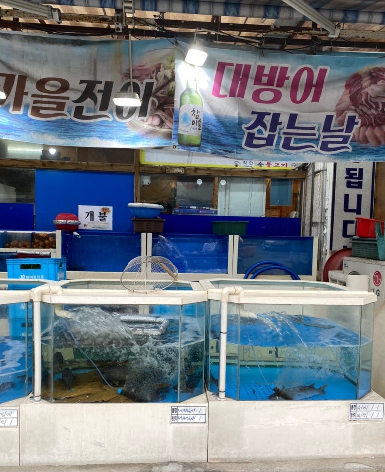 상미수산 이미지