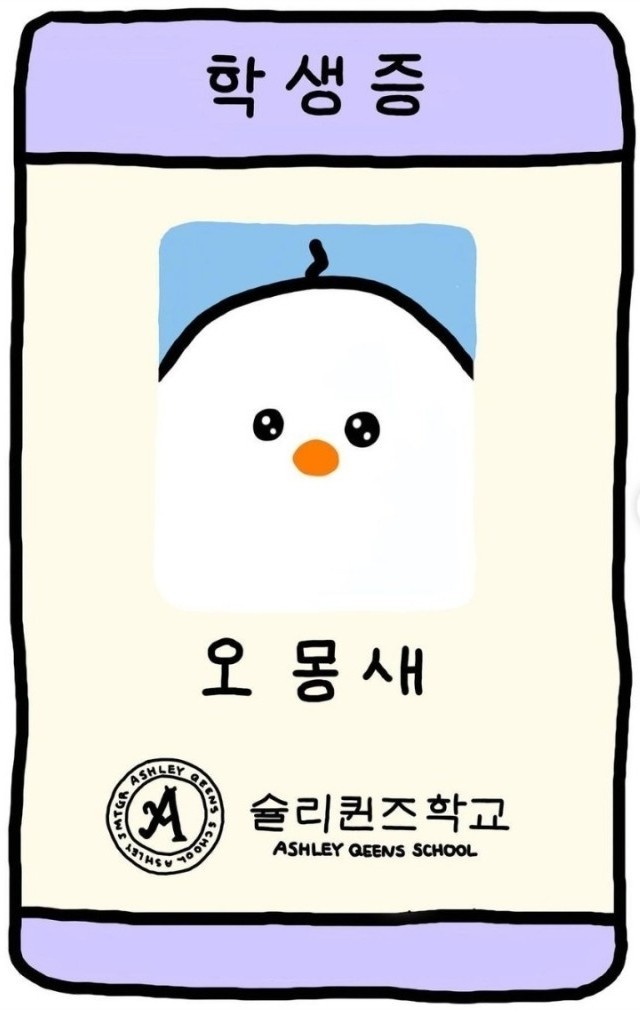 슐리 이미지