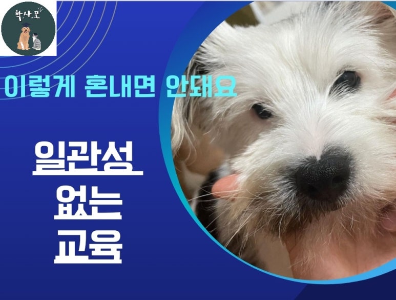 올바른교육 이미지