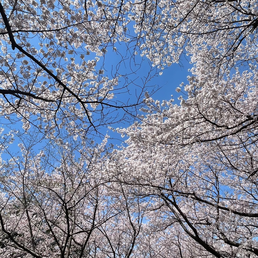 연향열쇠 이미지