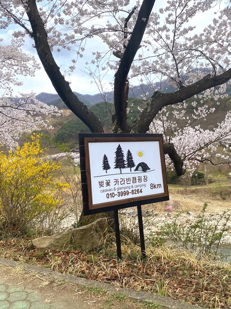 지리산 벚꽃 카라반 캠핑장 이미지