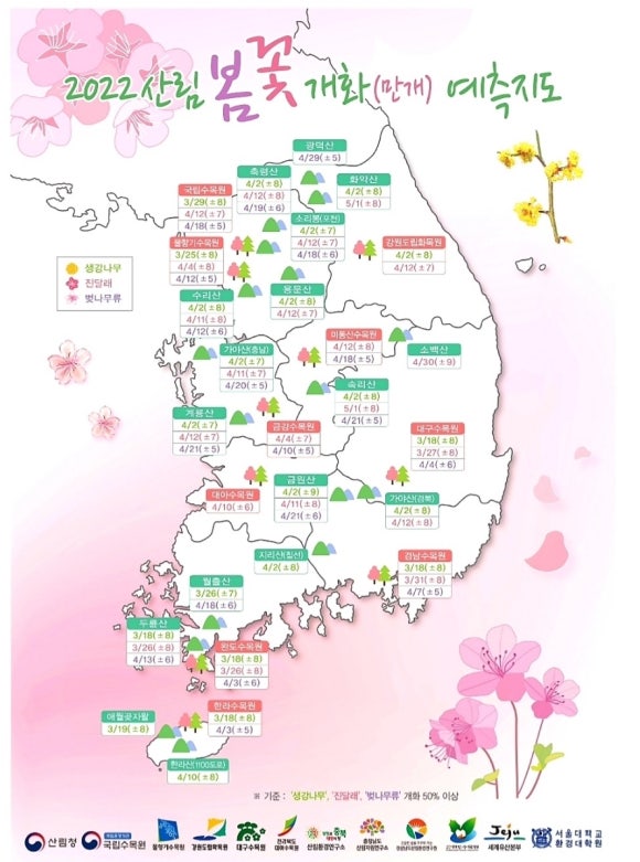 파마머리미용실 이미지