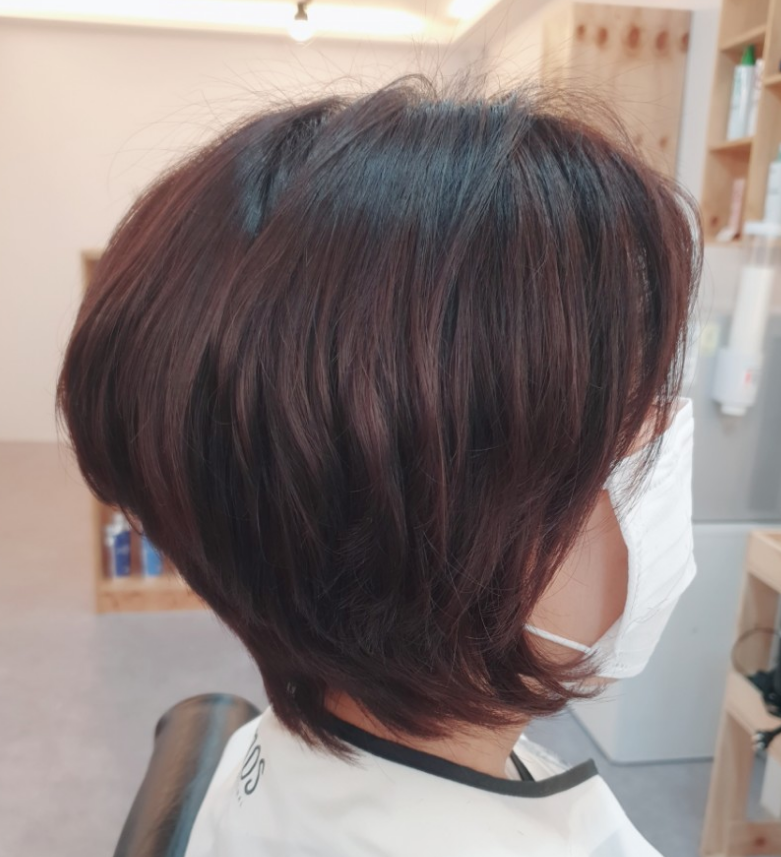 헤어스텔라 이미지