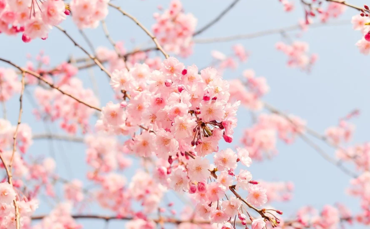 참조은산부인과 이미지