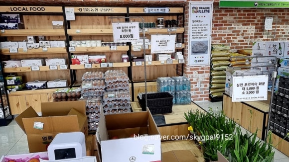 달구네계란 이미지