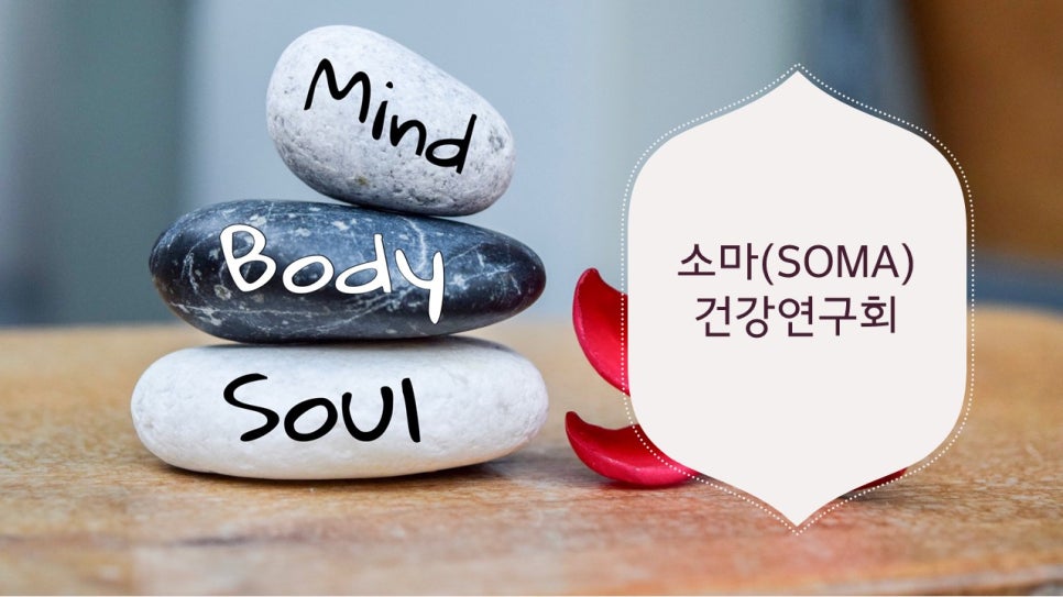영혼의과학연구회 이미지