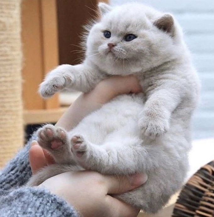 카페민 이미지
