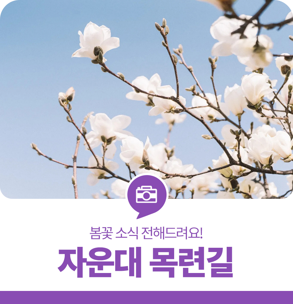 하이넷 자운대 수소충전소 이미지