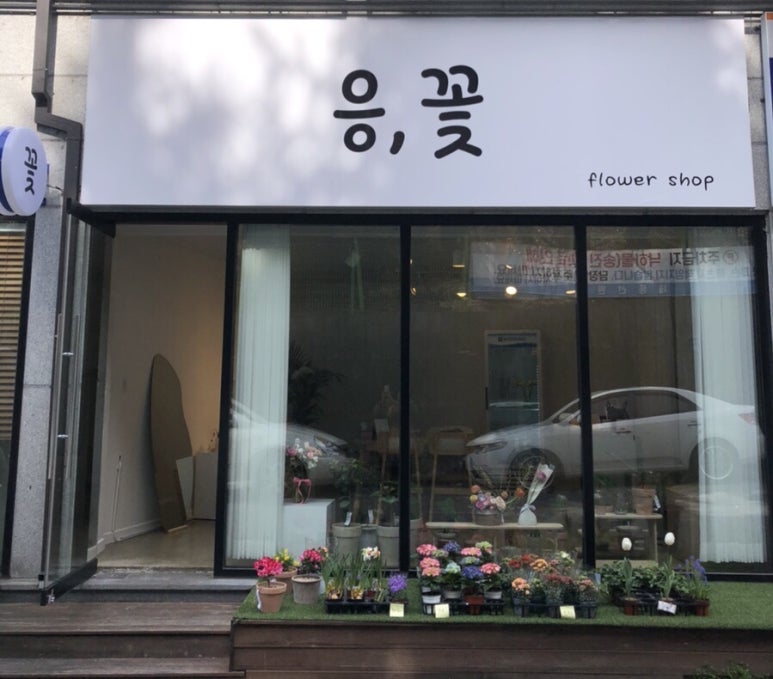 응;꽃 이미지