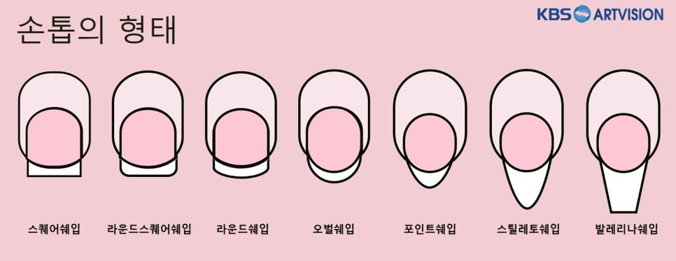 손톱모양 이미지