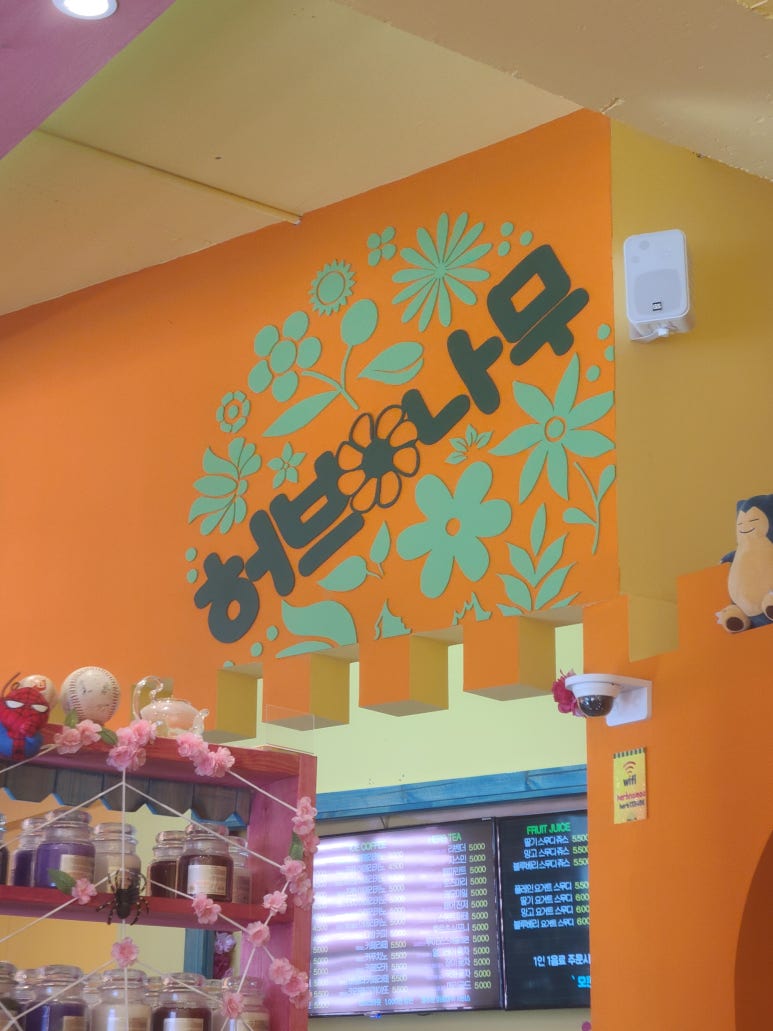 허브나무 이미지