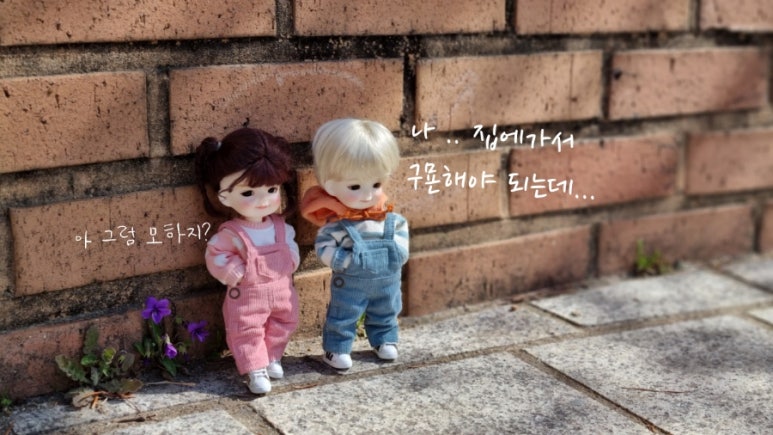 키키즈 이미지