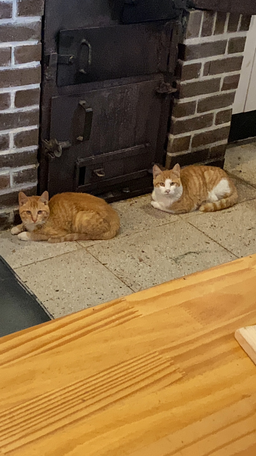 보광산관광농원 이미지