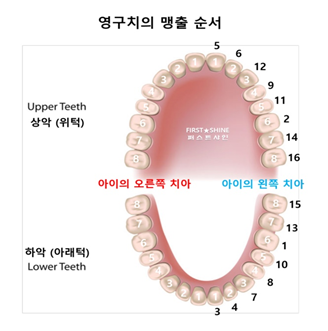이노치과의원 이미지