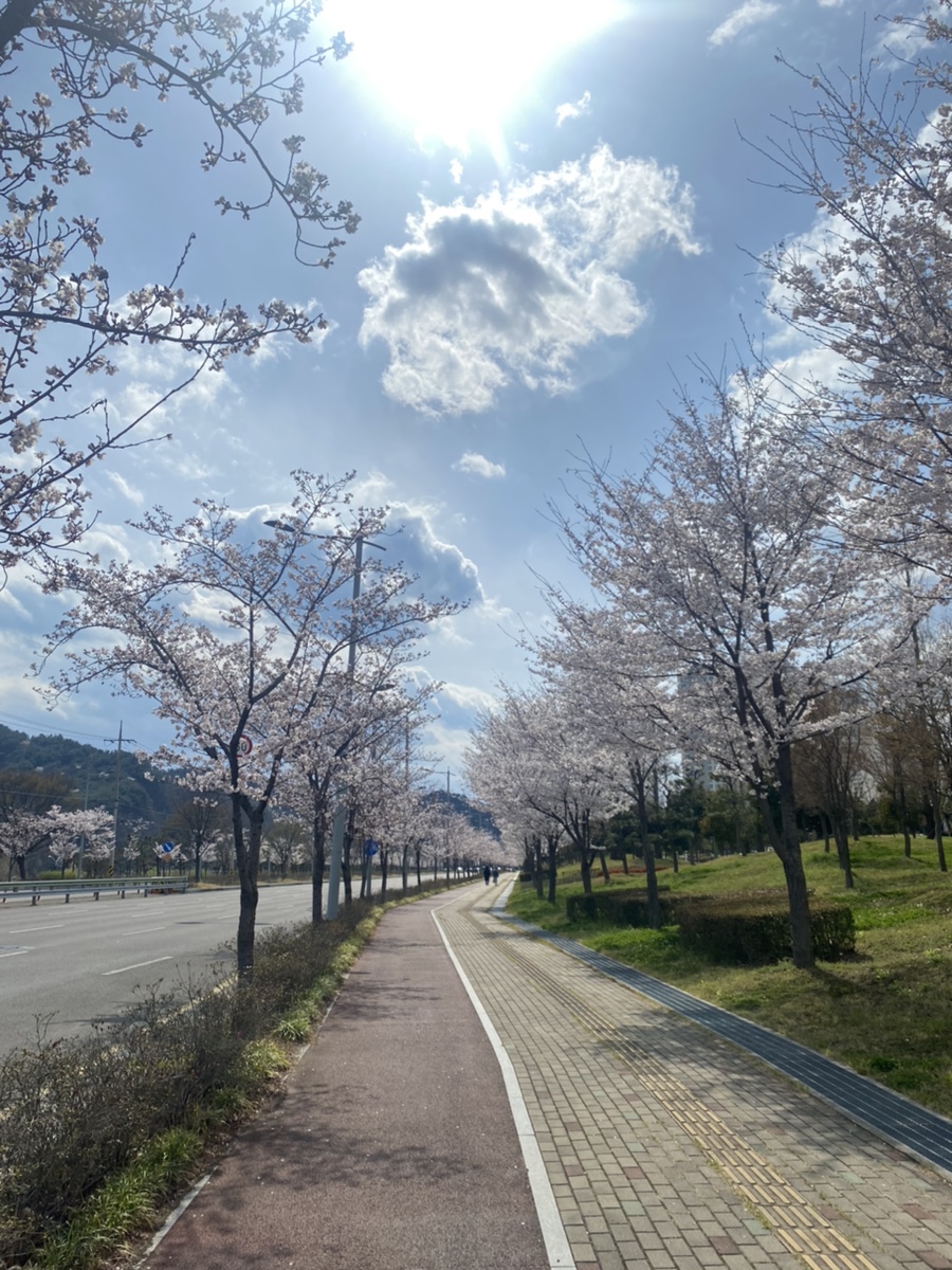 스타벅스 진주신안점 이미지