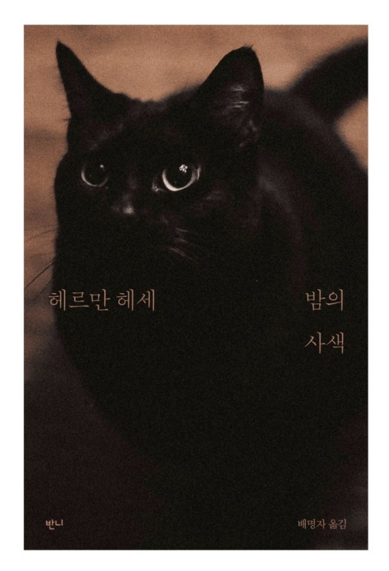 밤의사색 이미지