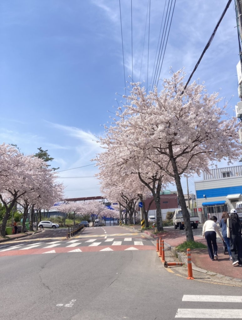 에프터글로우Afterglow 이미지