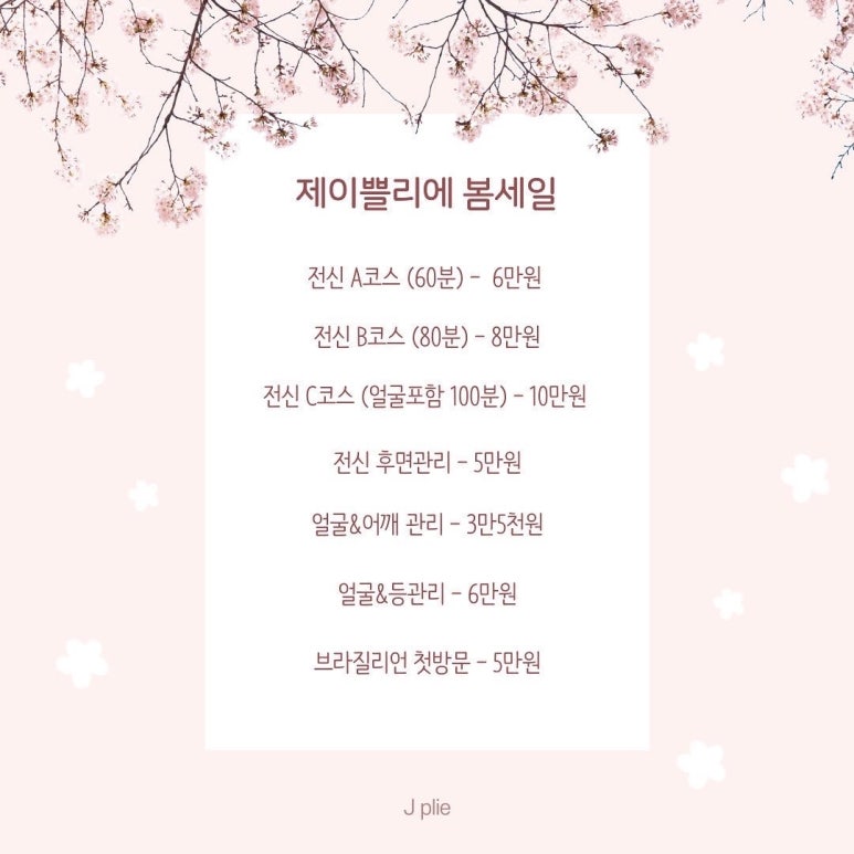쁠리에 이미지