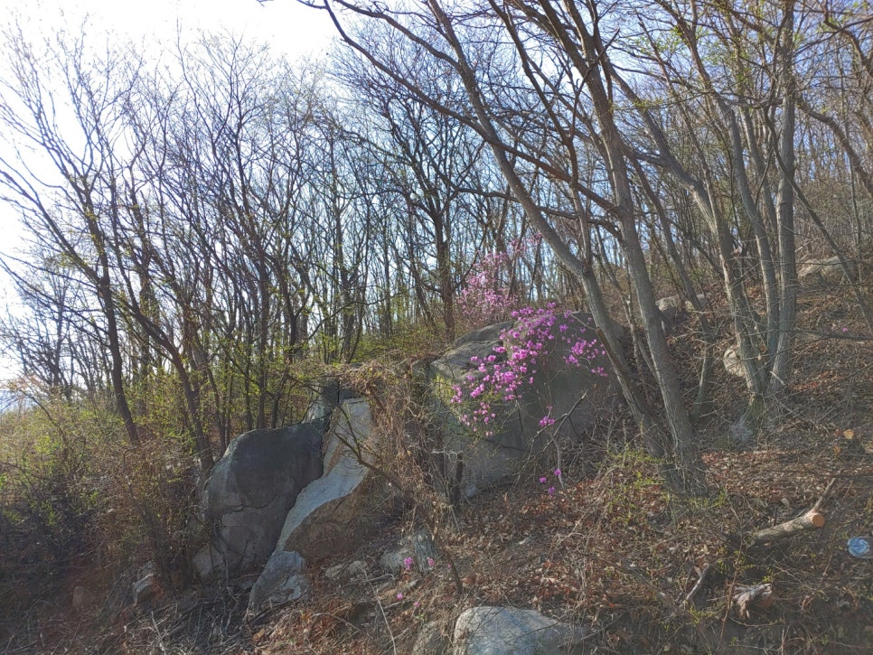(주)늘푸른수산 이미지