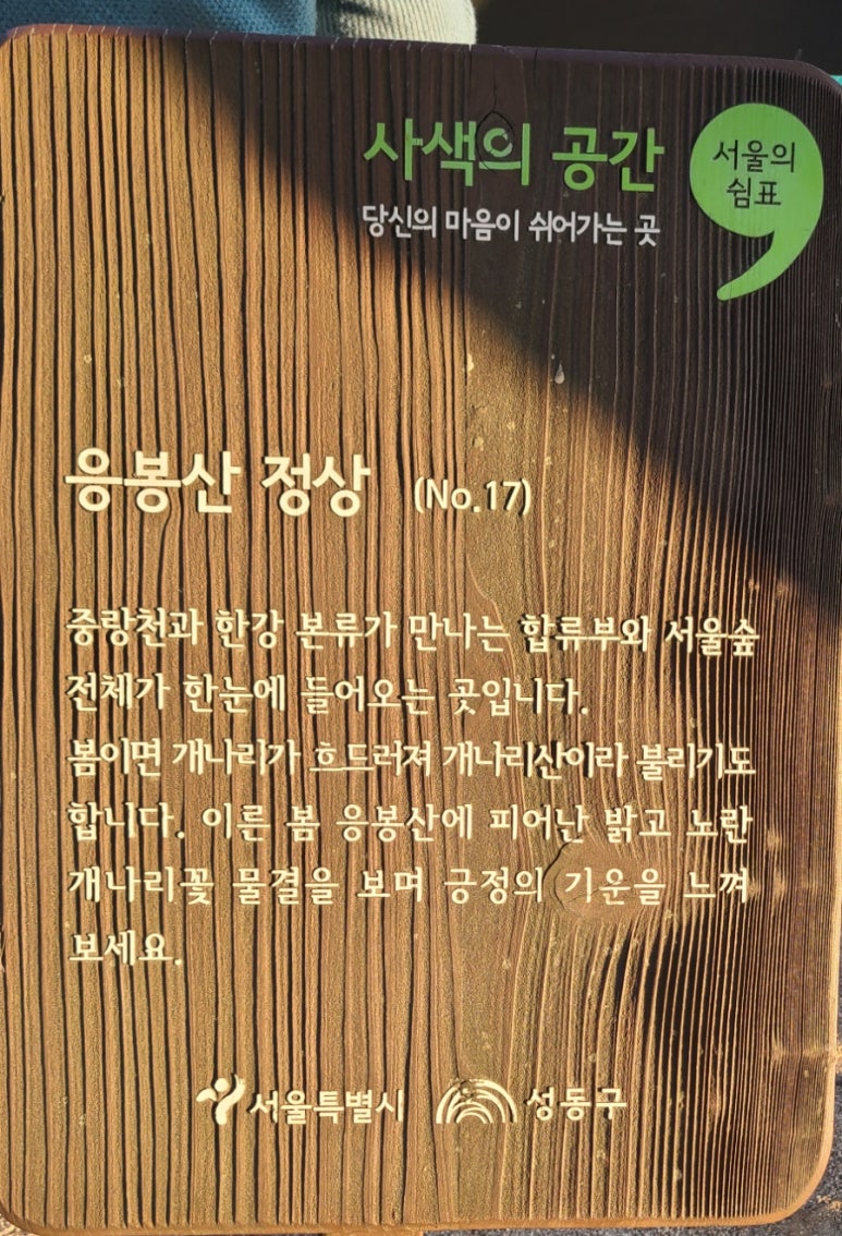 개나리문구 이미지