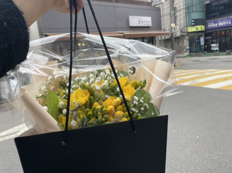 플로미아 이미지