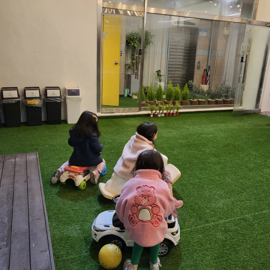 베베룻 이미지