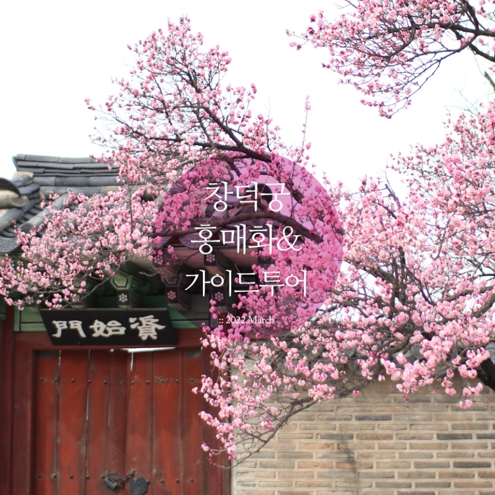 가이드쿱 이미지