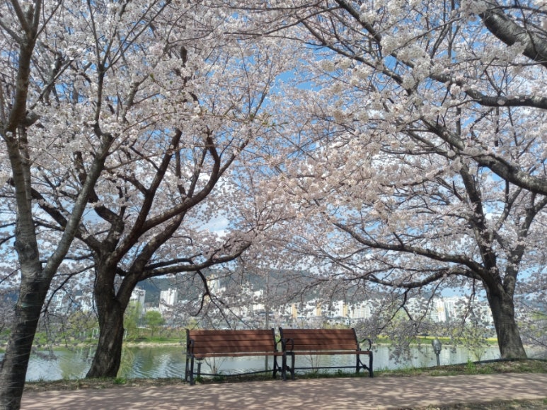 스튜디오모남 이미지