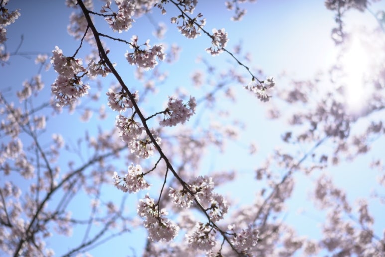 스튜디오모남 이미지