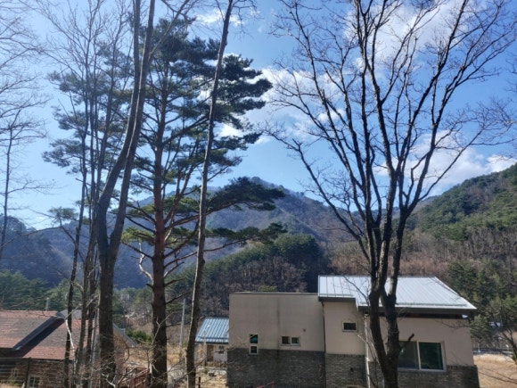 곰배령팜스테이 이미지