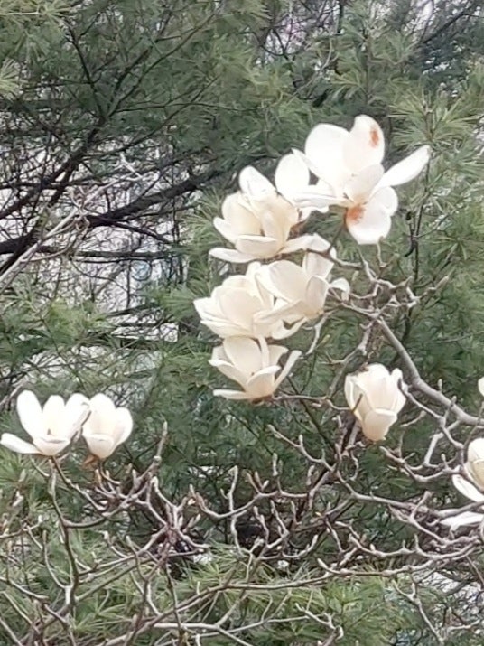 한강세무회계 이미지