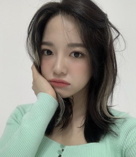 에센슈얼 이미지