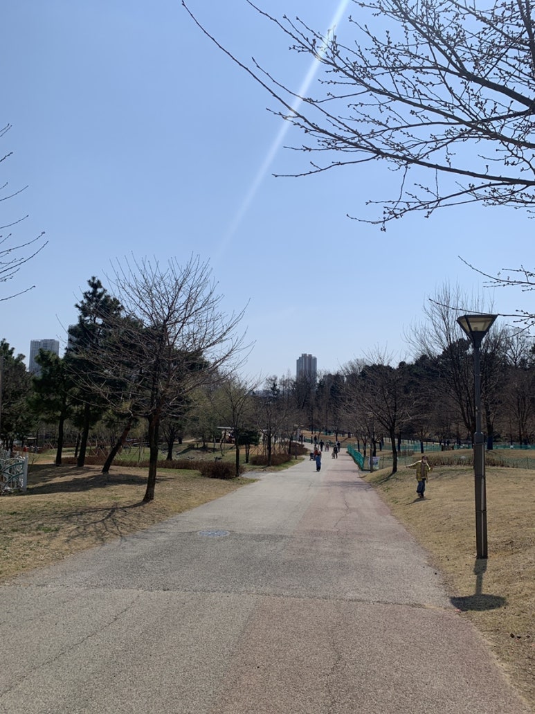 늘솔근린공원 유아숲체험원 이미지