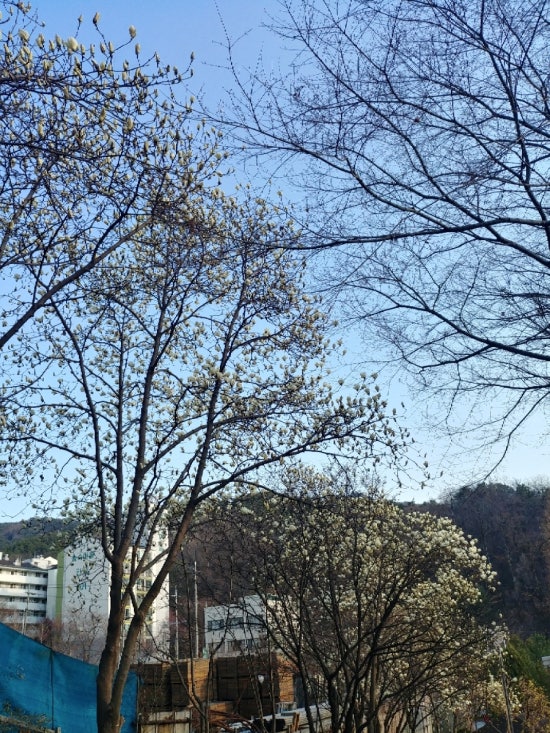 명자네 생물 이미지