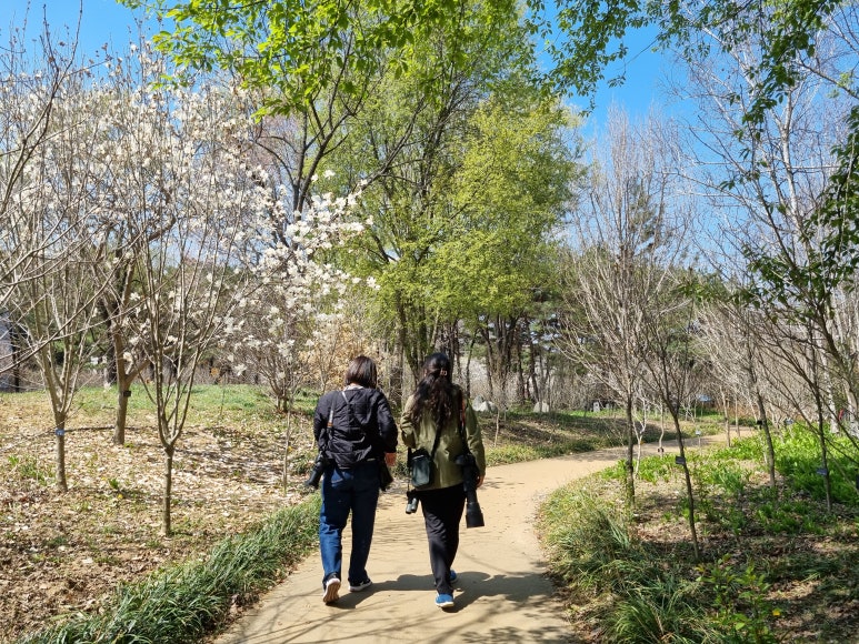 탐조책방 이미지