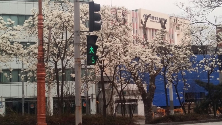 법무사사무소위로 이미지