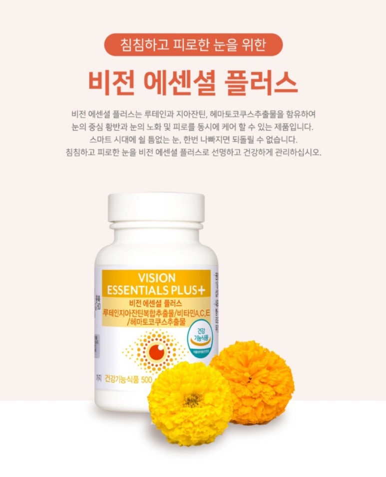 유니플러스비전 이미지