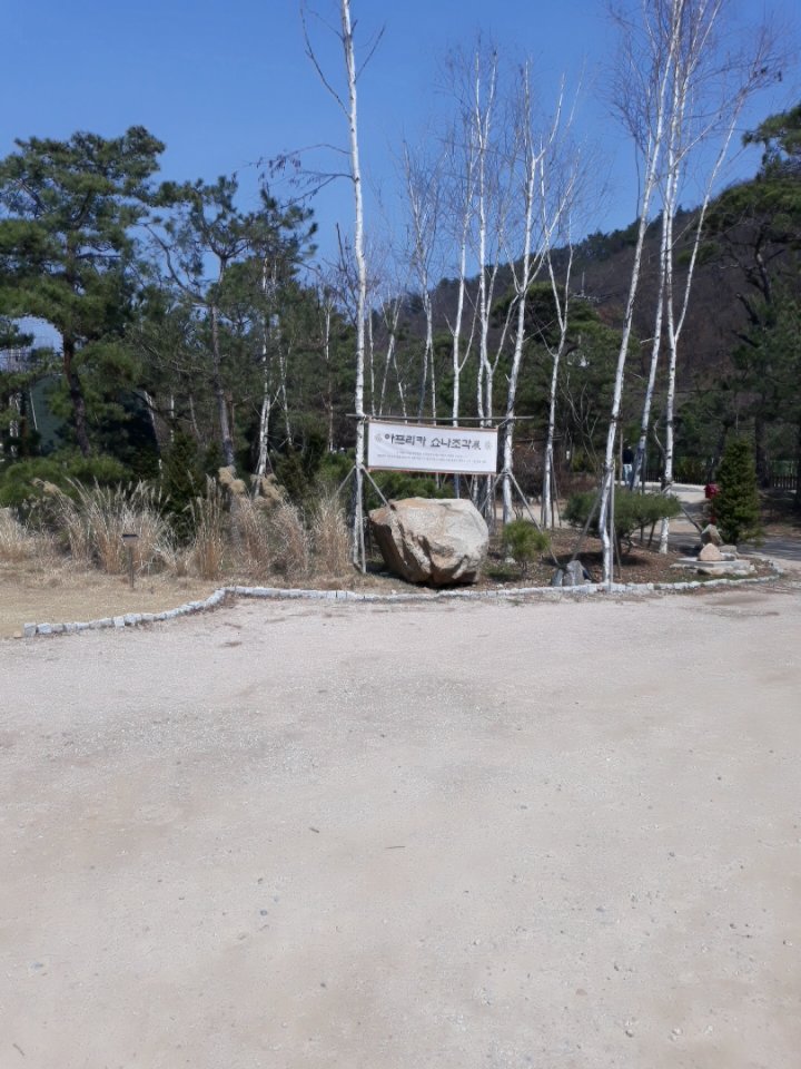 어데뷰 이미지