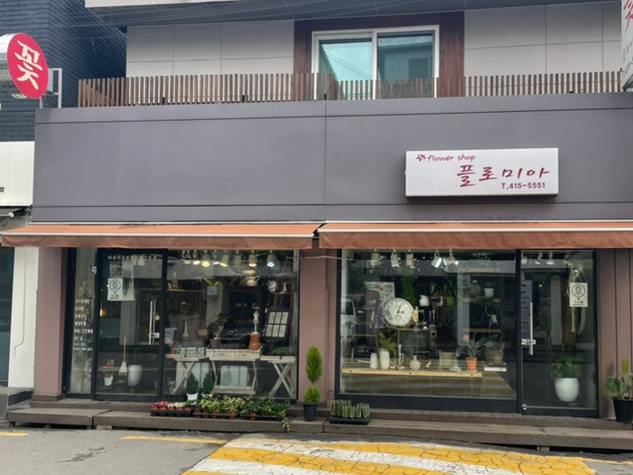 플로미아 이미지