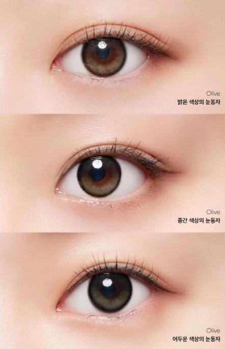 도도리 이미지