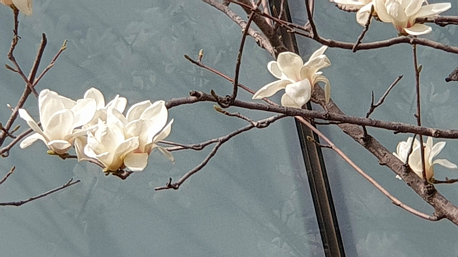 목련명품수선 이미지