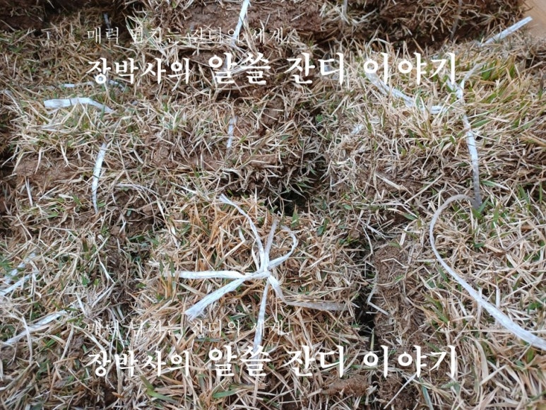 고향농약사 이미지