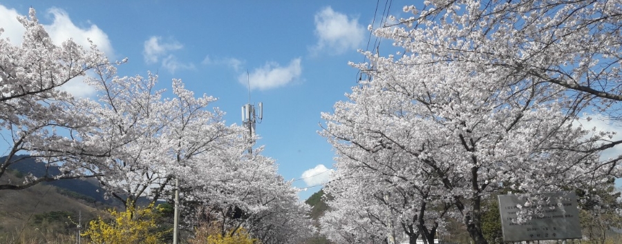 길번 이미지